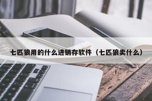 七匹狼用的什么进销存软件(七匹狼卖什么)