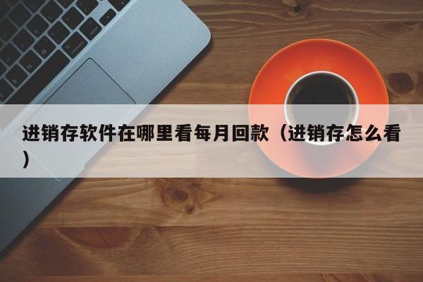 进销存软件在哪里看每月回款(进销存怎么看)