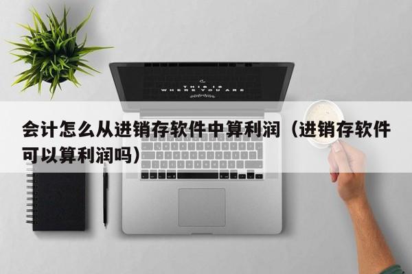 会计怎么从进销存软件中算利润(进销存软件可以算利润吗)