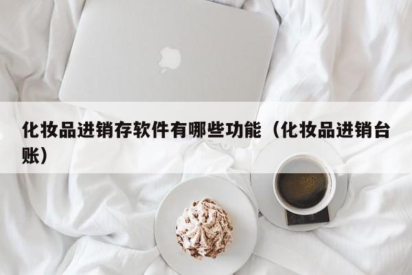 化妆品进销存软件有哪些功能(化妆品进销台账)