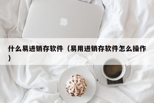 什么易进销存软件(易用进销存软件怎么操作)