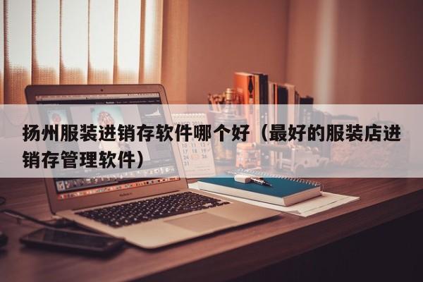 扬州服装进销存软件哪个好(最好的服装店进销存管理软件)