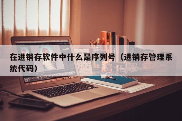 在进销存软件中什么是序列号(进销存管理系统代码)