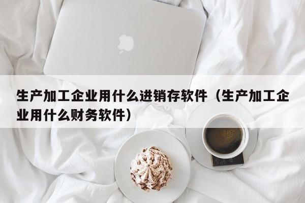 生产加工企业用什么进销存软件(生产加工企业用什么财务软件)