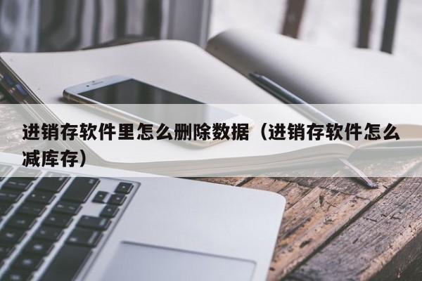进销存软件里怎么删除数据(进销存软件怎么减库存)