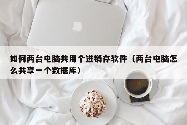 如何两台电脑共用个进销存软件(两台电脑怎么共享一个数据库)