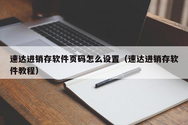 速达进销存软件页码怎么设置(速达进销存软件教程)