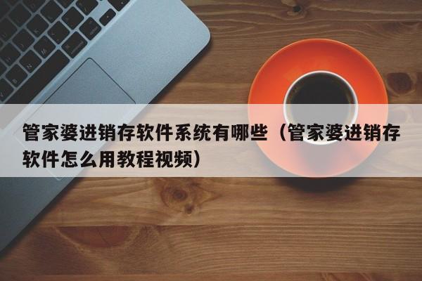 管家婆进销存软件系统有哪些(管家婆进销存软件怎么用教程视频)