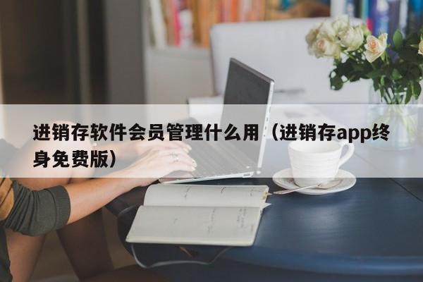 进销存软件会员管理什么用(进销存app终身免费版)