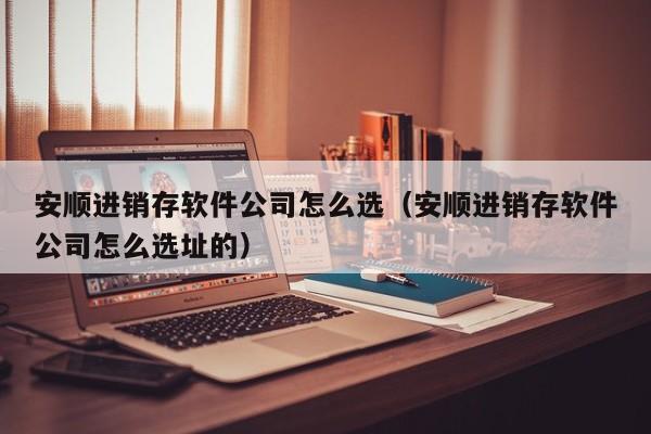 安顺进销存软件公司怎么选(安顺进销存软件公司怎么选址的)