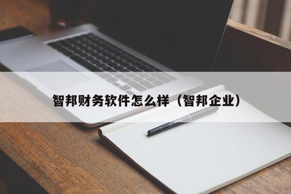 智邦财务软件怎么样(智邦企业)