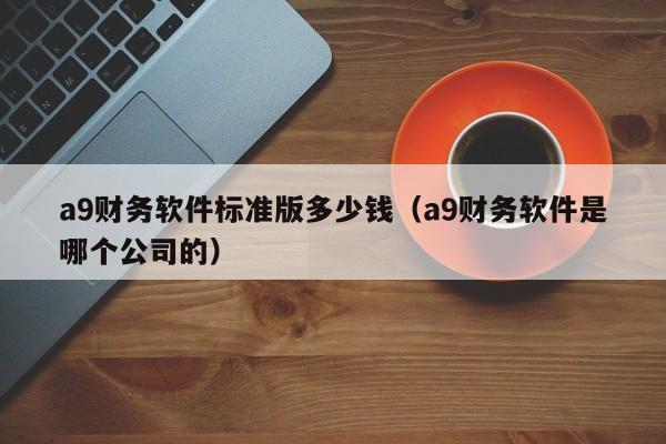 a9财务软件标准版多少钱(a9财务软件是哪个公司的)