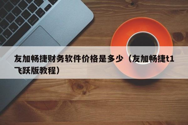 友加畅捷财务软件价格是多少(友加畅捷t1飞跃版教程)