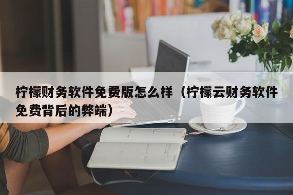 柠檬财务软件免费版怎么样(柠檬云财务软件免费背后的弊端)