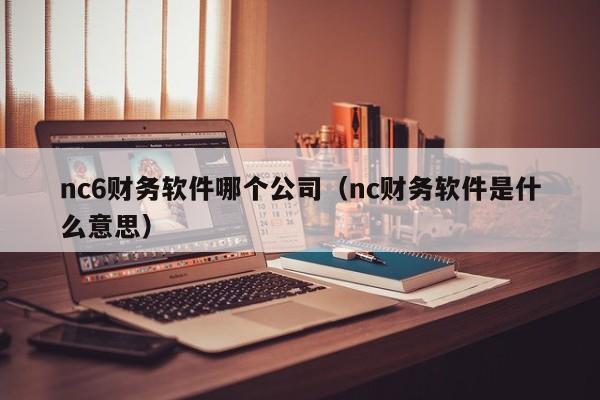 nc6财务软件哪个公司(nc财务软件是什么意思)