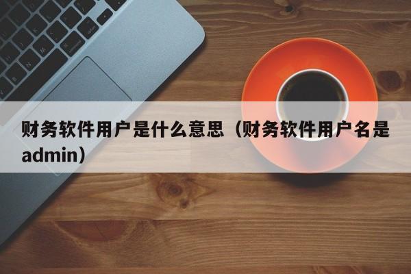 财务软件用户是什么意思(财务软件用户名是admin)